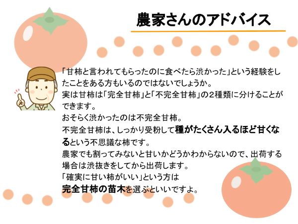 柿の栽培：完全甘柿の説明